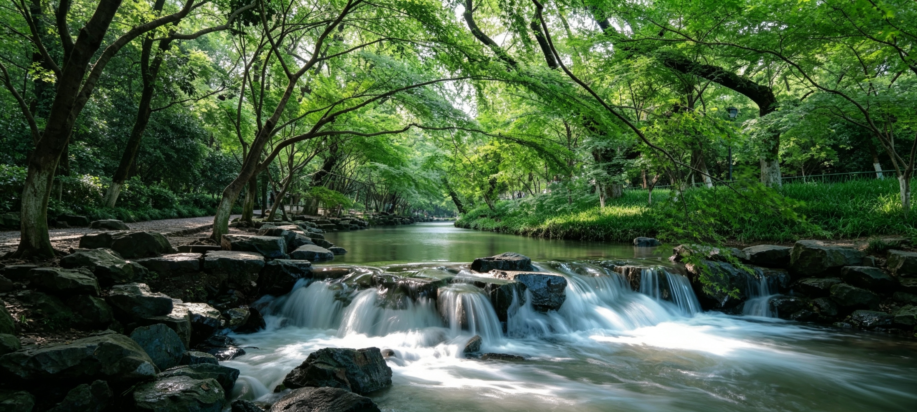 Nine Creeks & Longjing Village