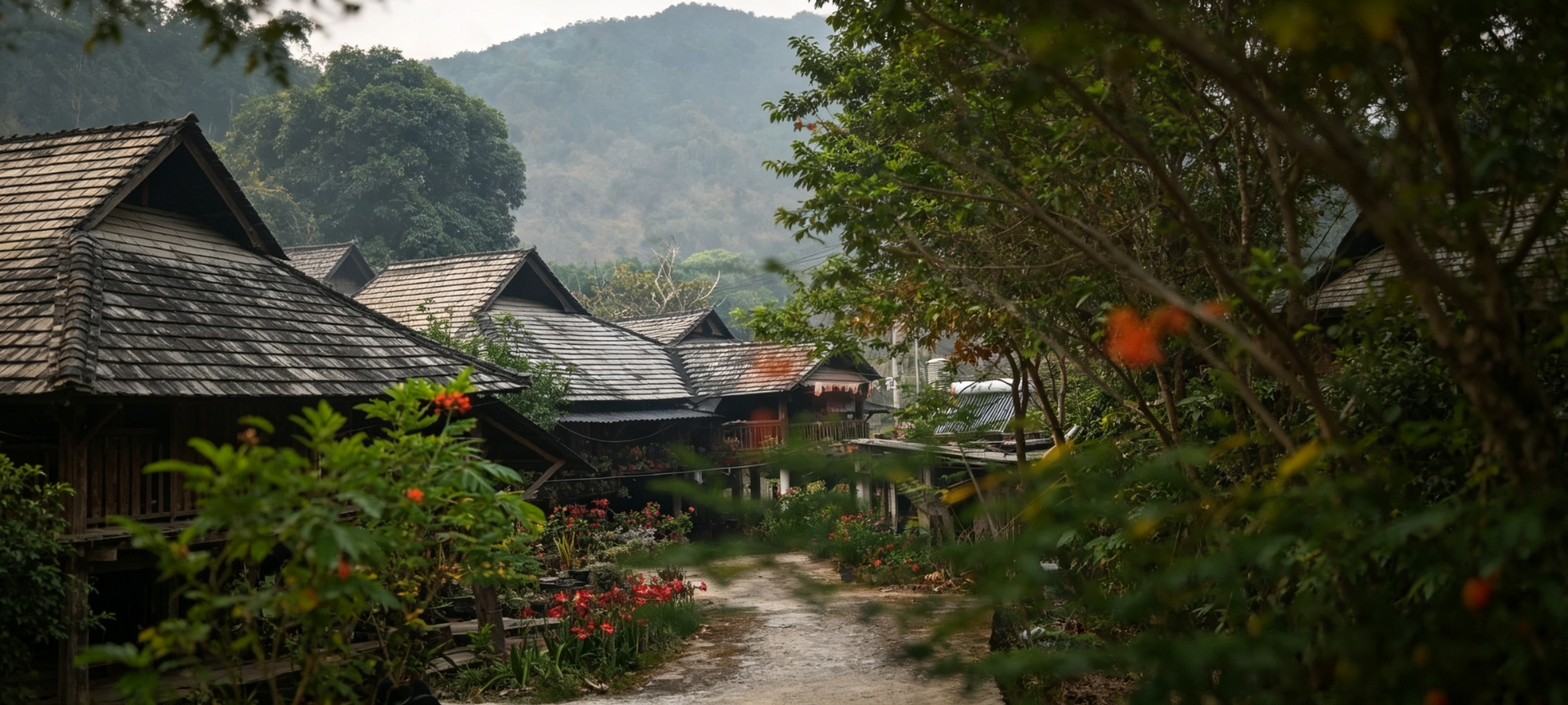 Nannuo Mountain Ancient Tea Plantation & Hani Village Experience